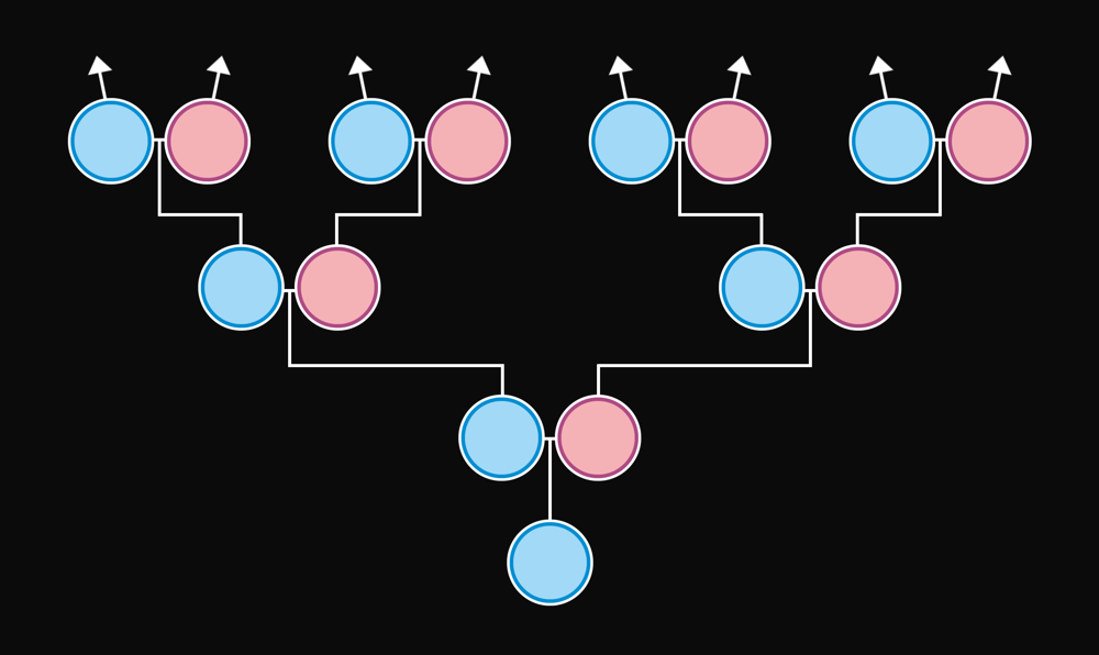 Genealogický vývod z předků