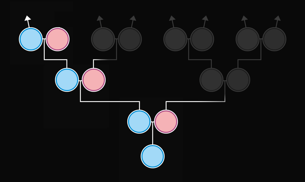 Genealogická linie - otcovská