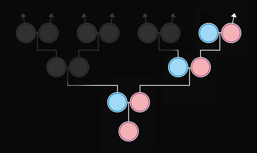 Genealogická linie - mateřská