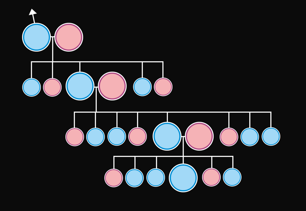 Genealogická linie - otcovská